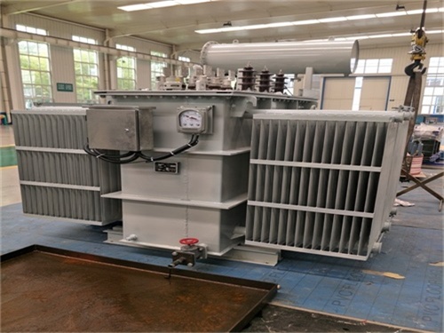 定南S20油浸式变压器供应